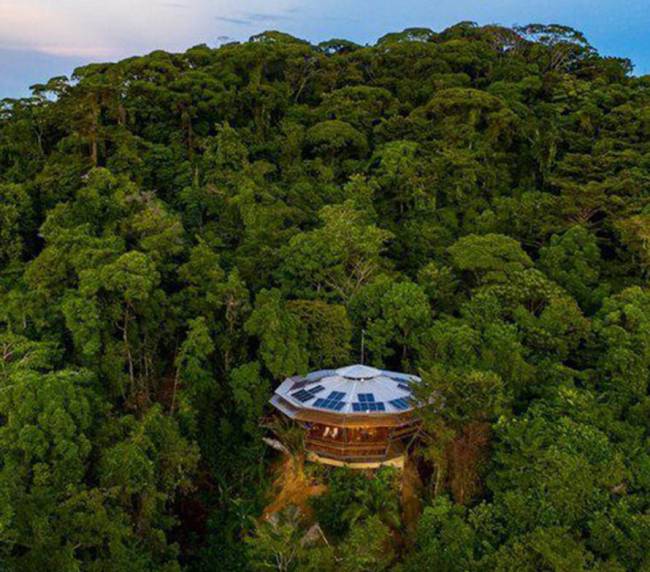 Sustainable resort in a forest