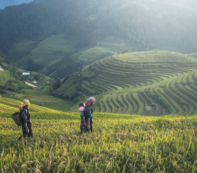 Minigrid-Agriculture