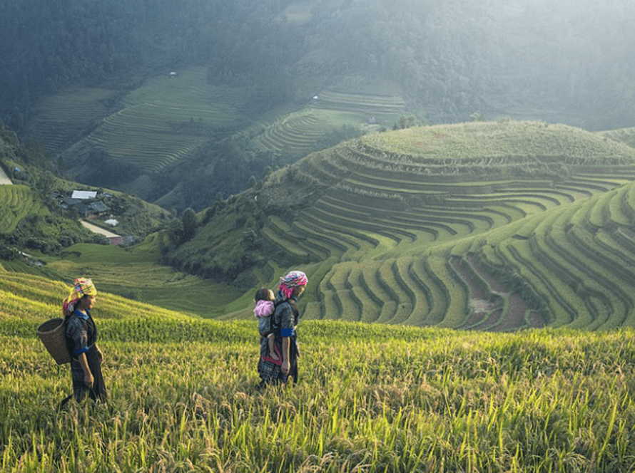 Minigrid-Agriculture